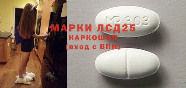 хмурый Алзамай