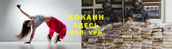 хмурый Алзамай