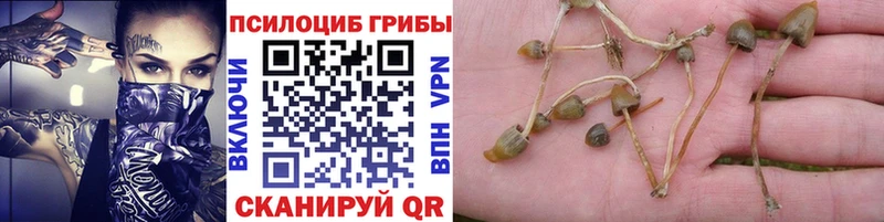 Галлюциногенные грибы прущие грибы ссылка на мегу ONION Благодарный